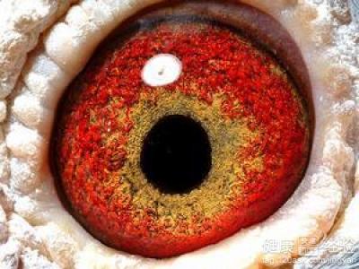 眼睛不舒服檢查結果是視網膜病變了怎麼辦
