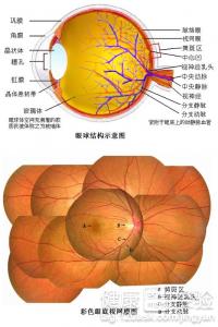 第3步