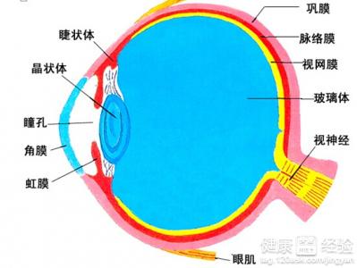 第1步