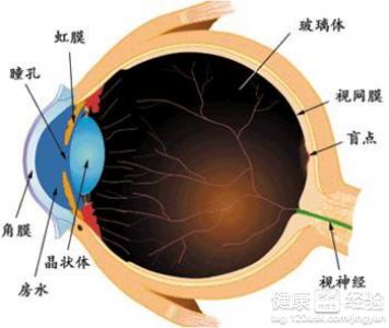 如何預防糖尿病性的視網膜病變？