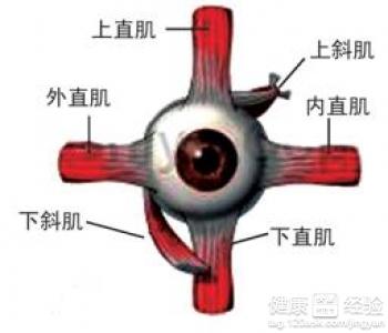 第1步
