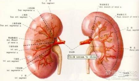 腎衰竭和斜視是因哪些因素遺傳