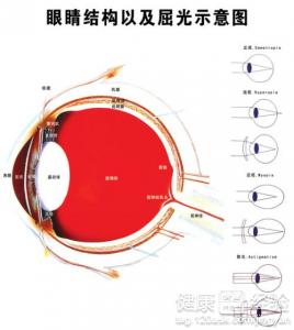 眼睛先天性斜視哪些東西不能吃