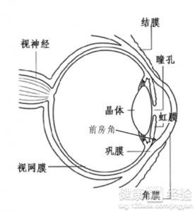 青光眼不可小窺3個小症狀你要知道