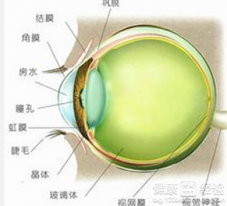 青光眼患者別用這些藥