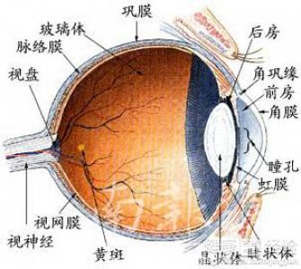 青光眼激光術後注意事項