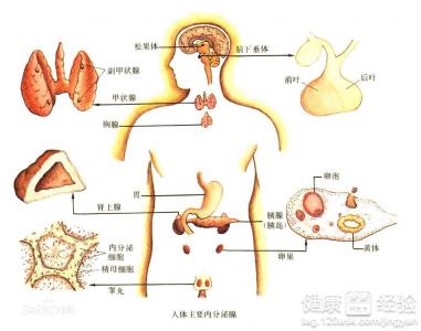 青光眼的症狀有哪些