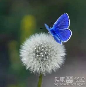 青光眼主要有什麼症狀