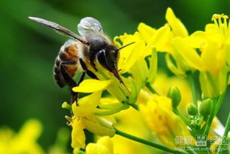 青光眼病患有支氣管哮喘該怎麼辦