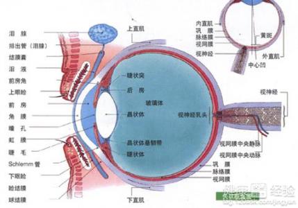 開角性青光眼用什麼藥比較好