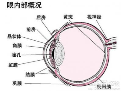 第2步