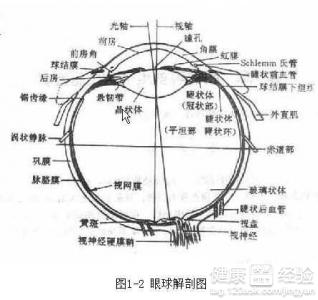 糖尿病並發症眼底出血做手術效果怎樣