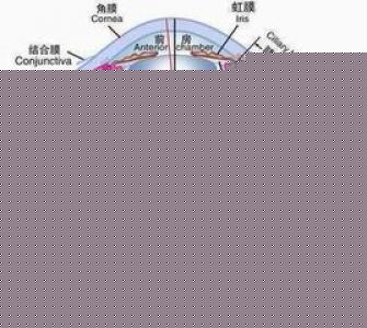 第1步