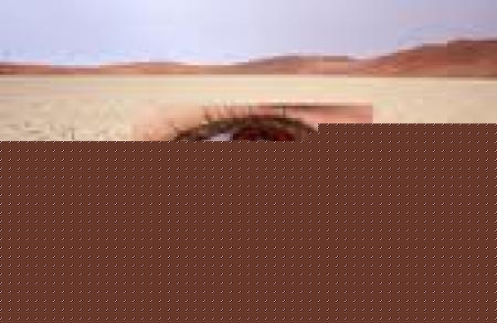 第2步