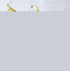 第3步