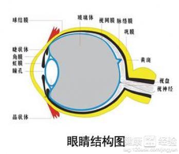 第1步