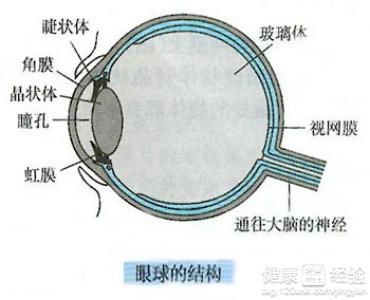 眼內玻璃球體渾濁和眼底出血該怎麼治療