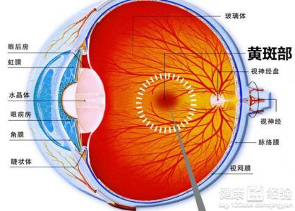 黃斑變性吃什麼干果好