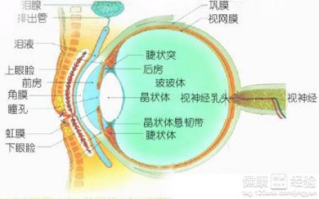 什麼叫做潰瘍性角膜炎