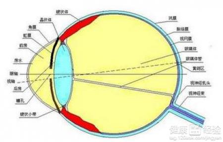 第1步