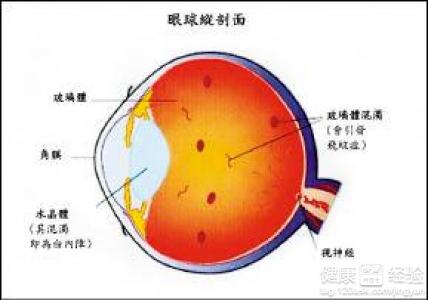 結膜炎和角膜炎區別