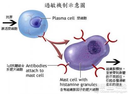 第1步