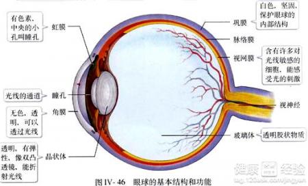 眼睛流淚時間久了會導致失明嗎