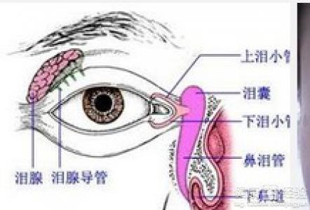 右眼老流淚該怎麼控制