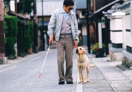 英研究：弱視智能眼鏡將取代導盲犬