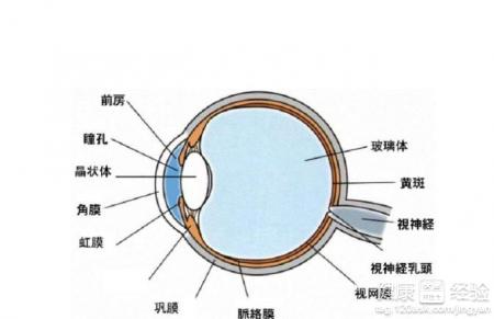 第1步