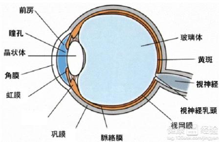 眼睛弱視可以手術嗎