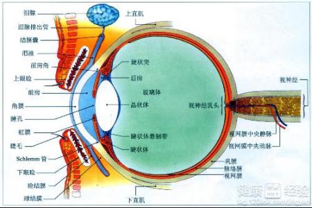 第1步