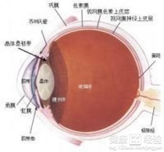第1步
