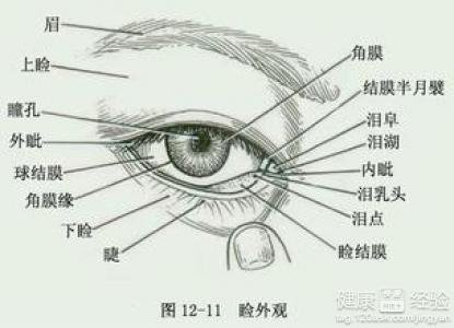 怎麼判斷眼睛到底屬於眼疲勞還是慢性結膜炎
