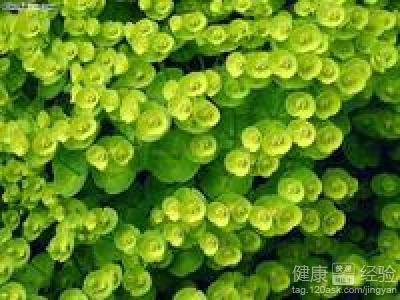 第1步