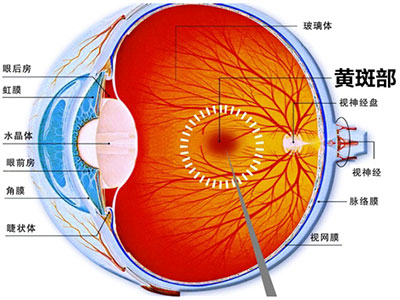 裝假牙竟把眼睛弄壞了？