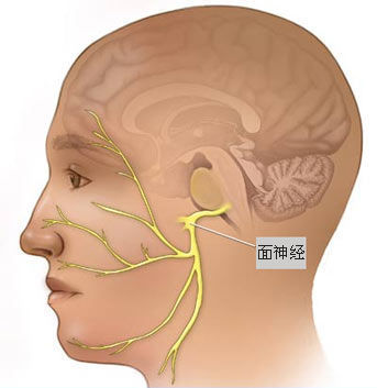 年輕人眼皮跳，小心面肌痙攣