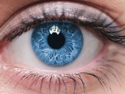 眼中飛蚊增加 警惕視網膜脫落
