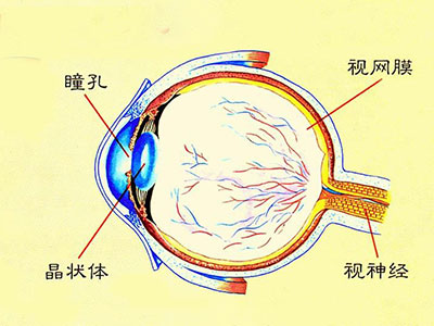 看看瞳孔 自檢疾病