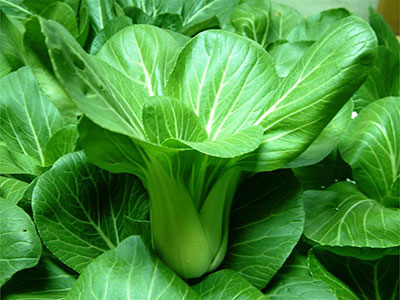 常吃深綠色蔬菜可預防白內障