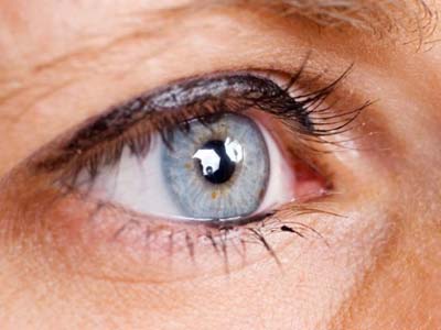 葉黃素有助於預防視網膜病變