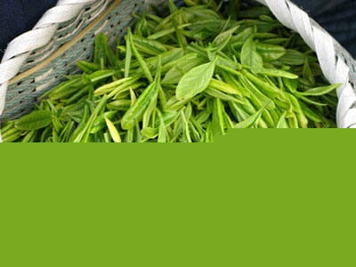 茶葉的妙用：茶葉洗眼敷眼緩解眼睛疲勞