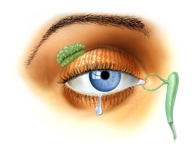 干眼症的治療方法 中醫治療干眼症有兩招