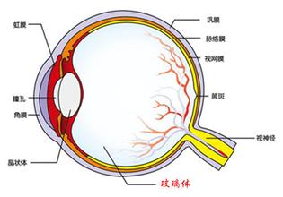 中醫治療視神經萎縮的方法