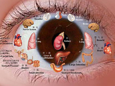 中醫看眼睛：肝開竅於目，脾升清養目