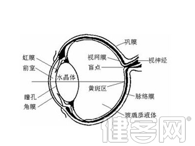 夏季喝湯藥降眼壓