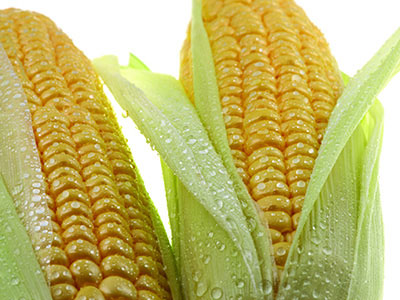 吃黃色玉米能夠舒緩眼疲勞