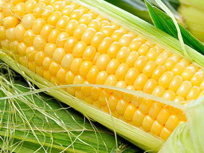 玉米是抗眼睛老化的極佳補充食物