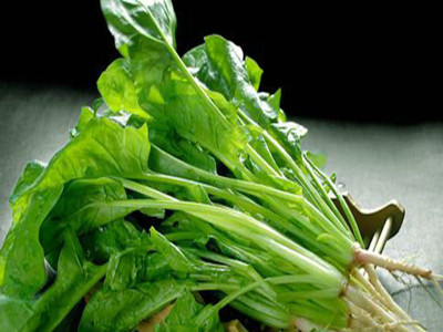 益於眼睛健康的食物—菠菜