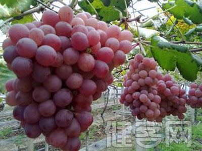 藍莓奶酪緩解眼疲勞